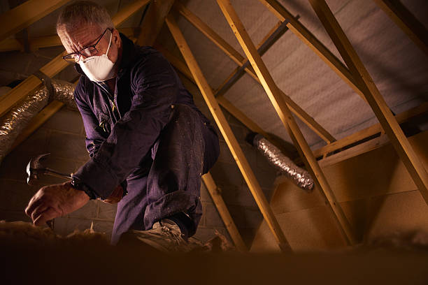 Best Insulation Maintenance and Repair in Hazardville, CT